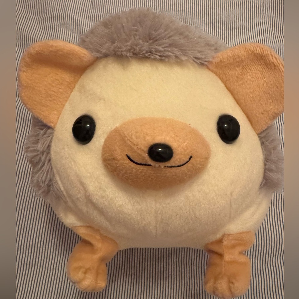 Super adorable hedgehog
